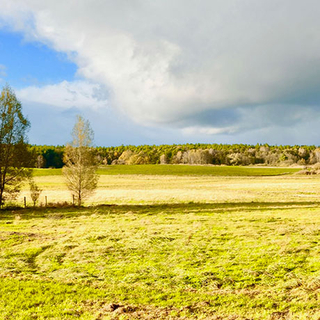 Hof und Umgebung von Wind und Weite in der Schorfheide